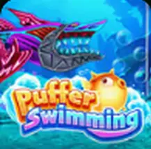 Puffer Swimming — OroPlay Colombia